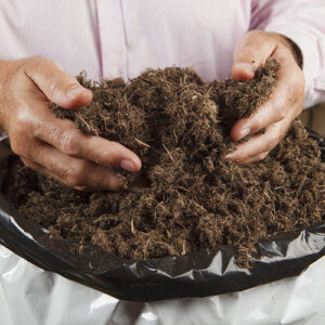 Premium Professional Compost